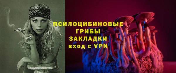 spice Зерноград
