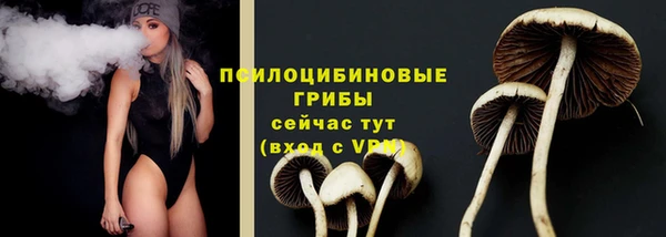 трава Зеленодольск