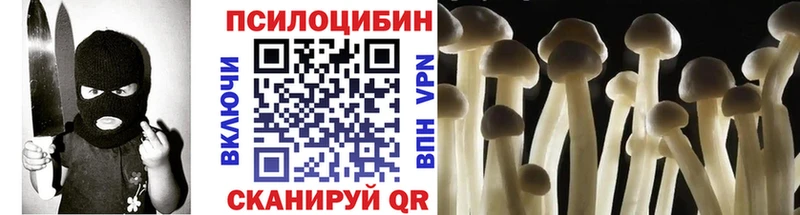 гидра онион  Грязи  Галлюциногенные грибы Cubensis 