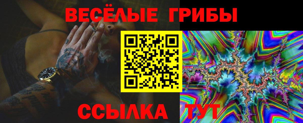 Галлюциногенные грибы мицелий Грязи